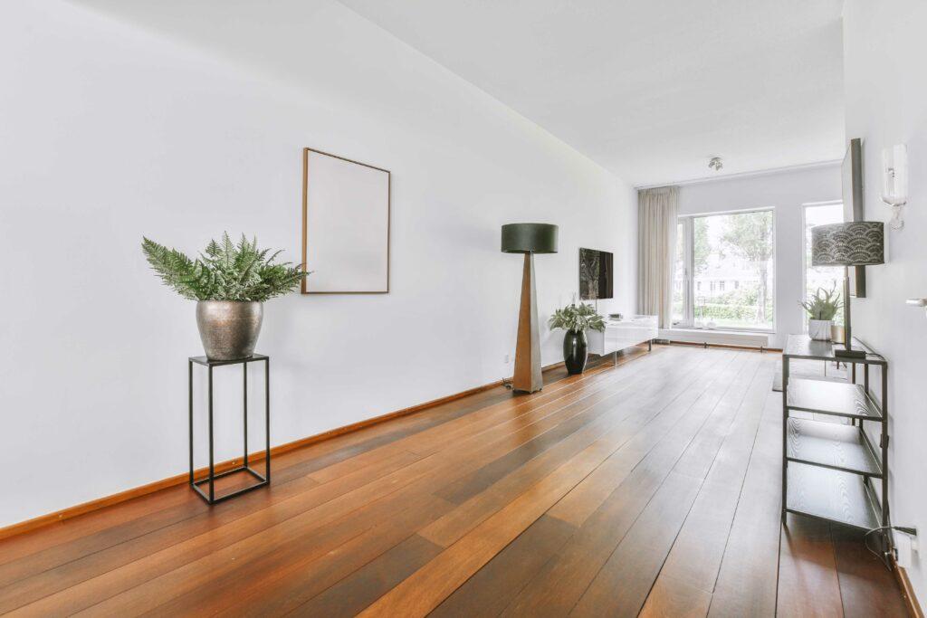 Long living room with dark reddish wide-plank wood floor, white walls, and potted ferns