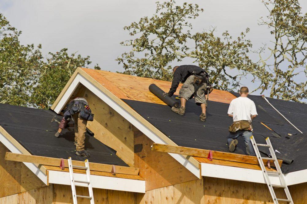 Three roofers rolling out black underlayment over plywood sheathing on a new roof
