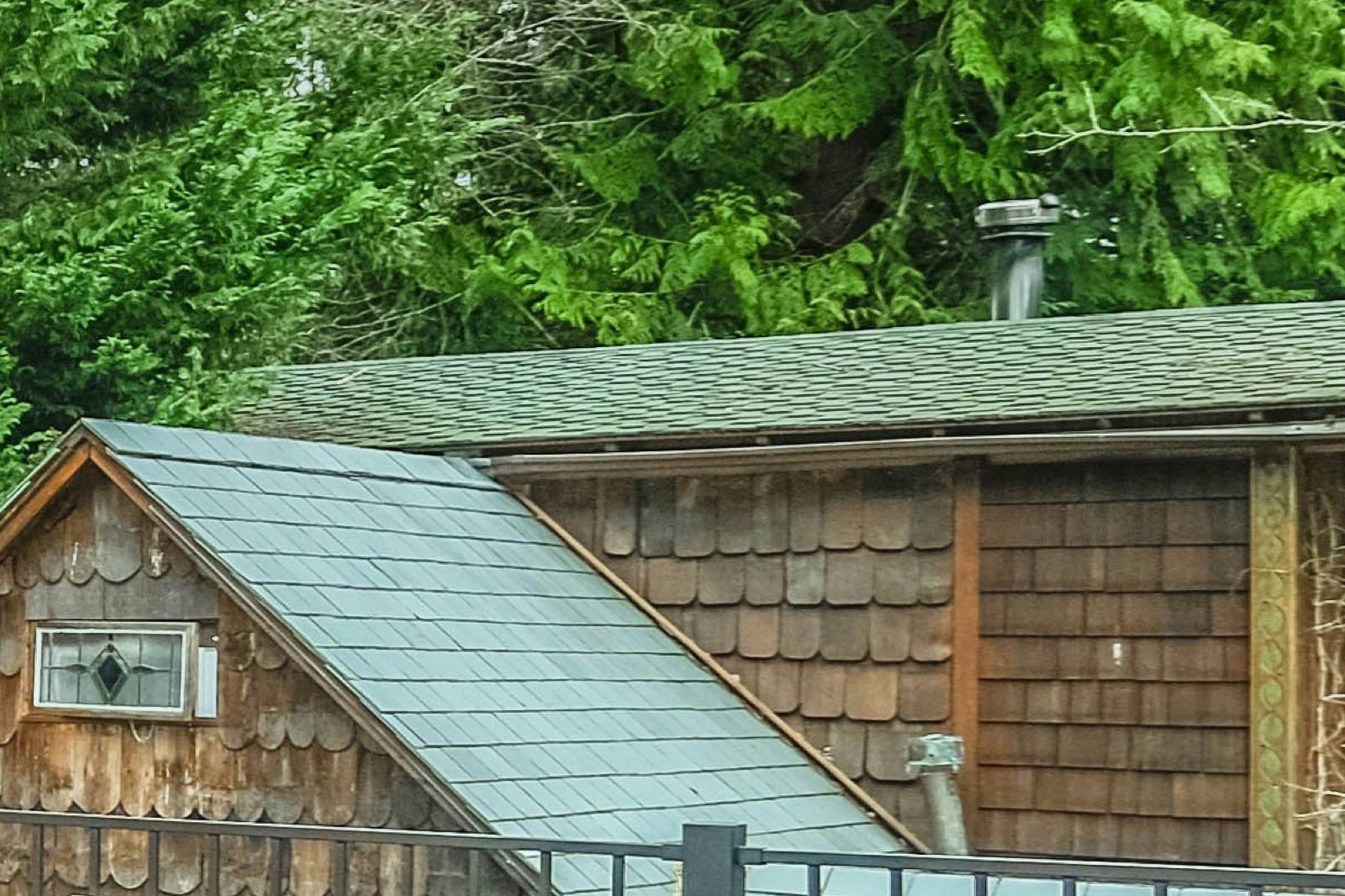 Cedar shingle siding and roof detail on a backyard shed